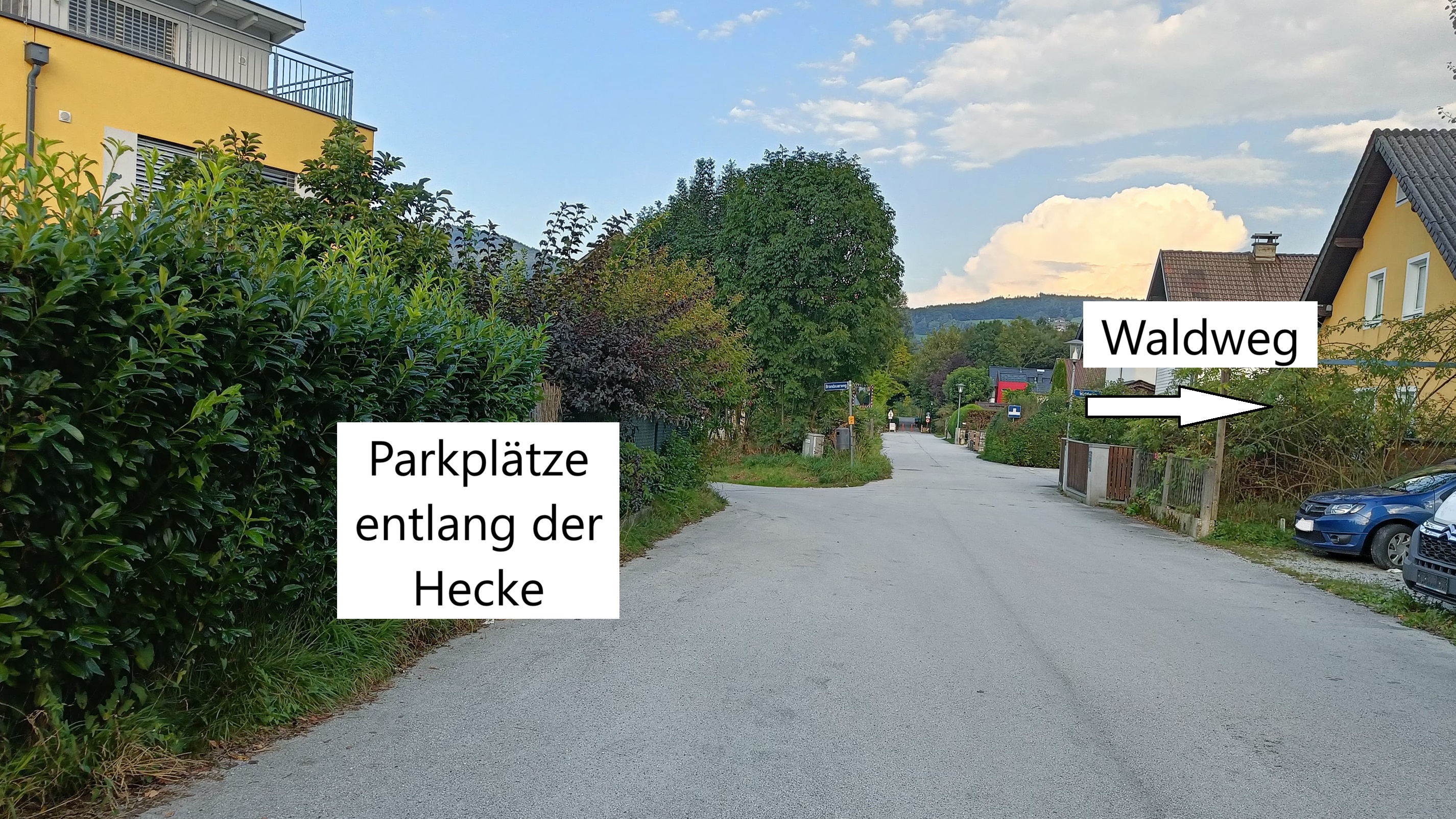 WhatsApp Image 2024-09-04 at 18.29.45